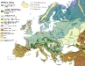 o_vegetacion de Europa